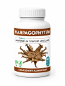 HARBAGOPHYTUM 30 GÉLULES