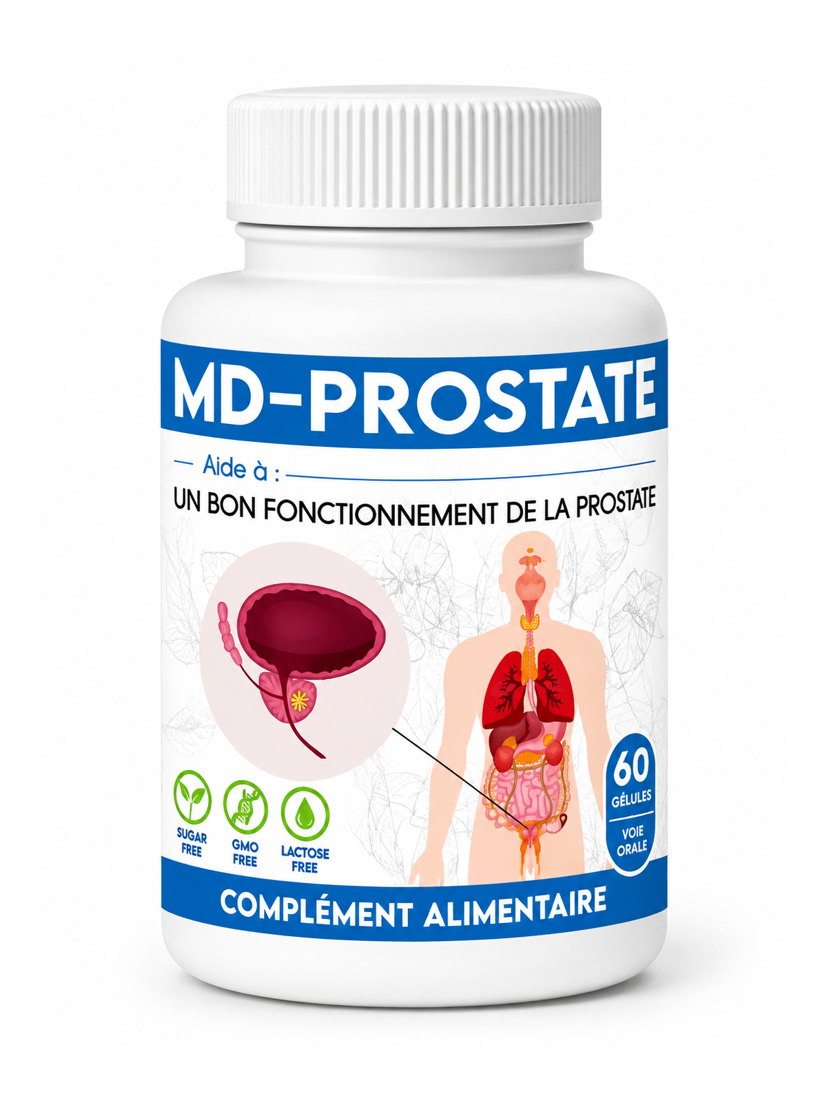 MD-PROSTATE 60 GELULES