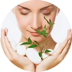 À propos de Naturshop.bio
